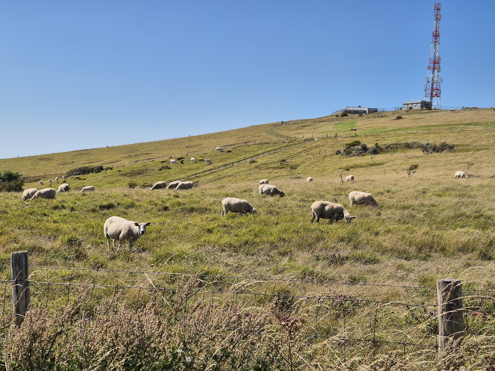 Cap-Blanc-Nez et Escalles