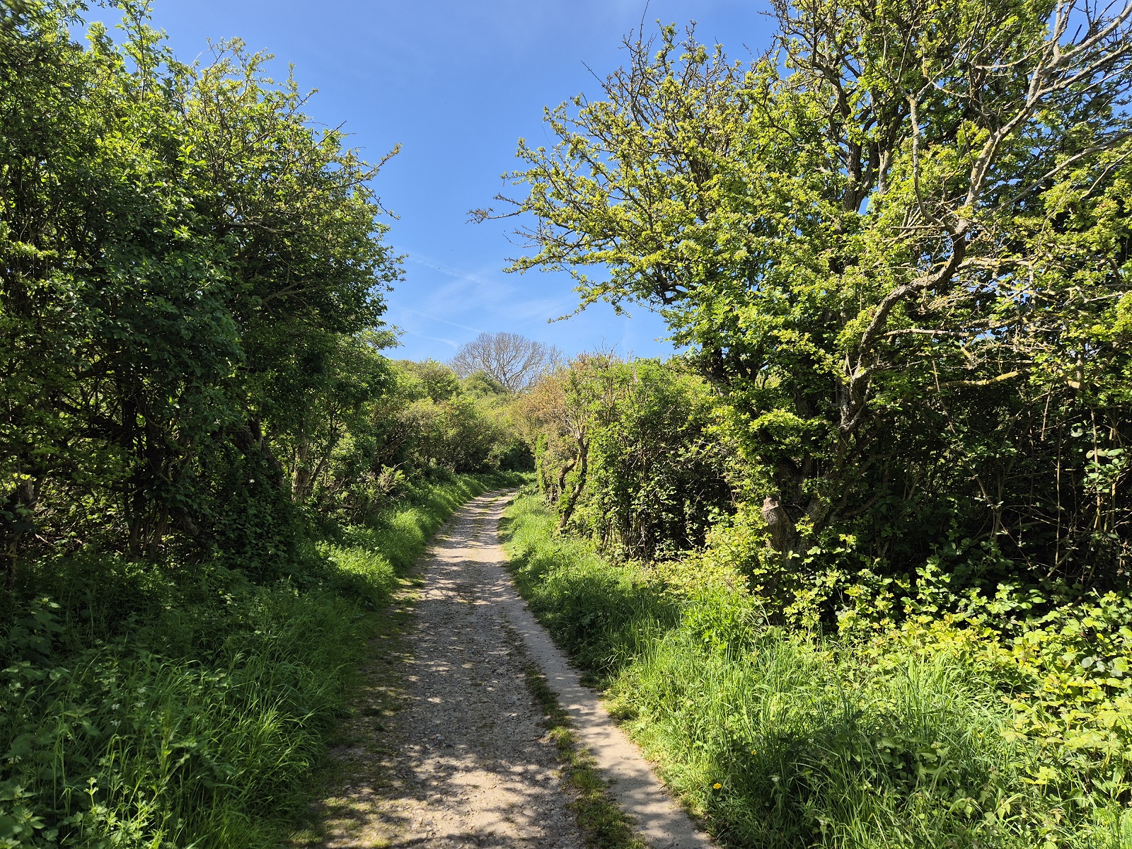 Sentier des Noires-Mottes par la ferme Belle-Vue